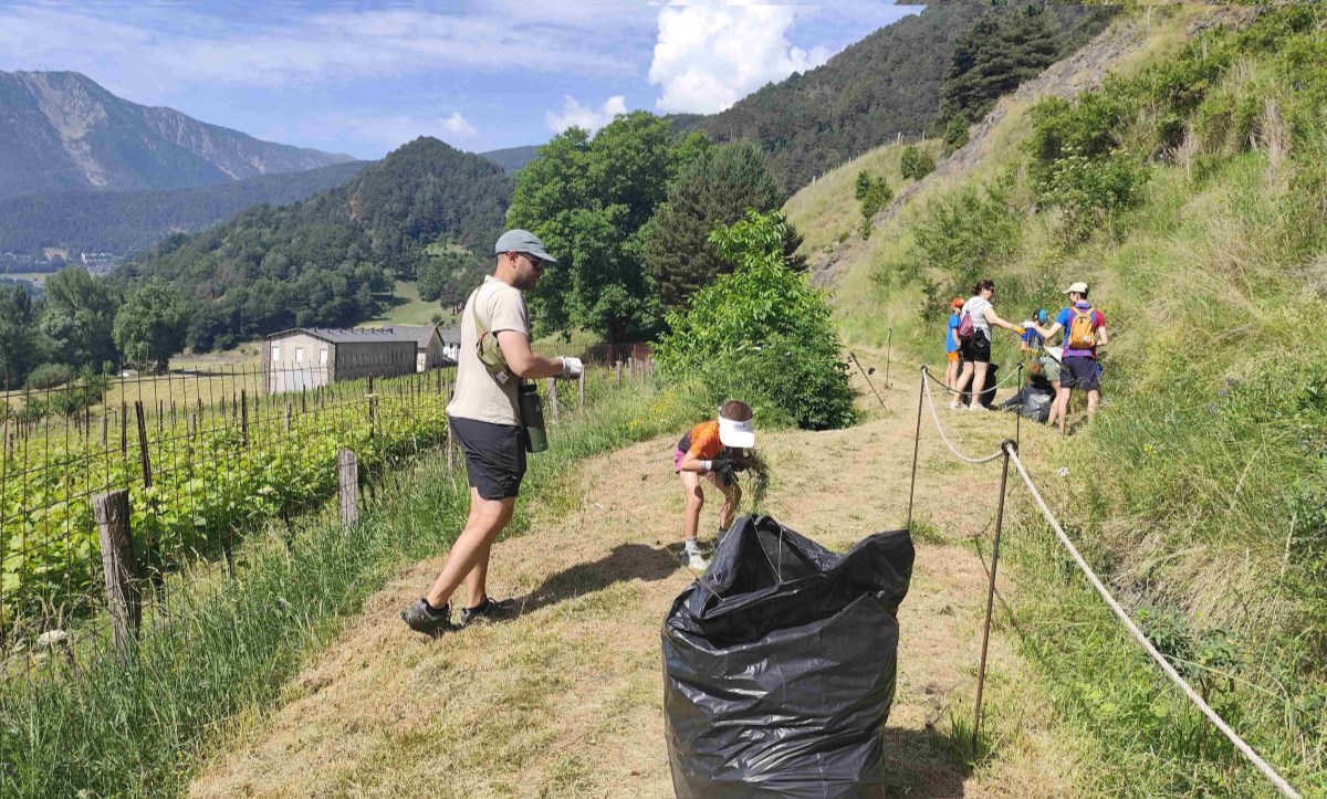 50kg arrencats de l’espècie invasora seneci del Cap