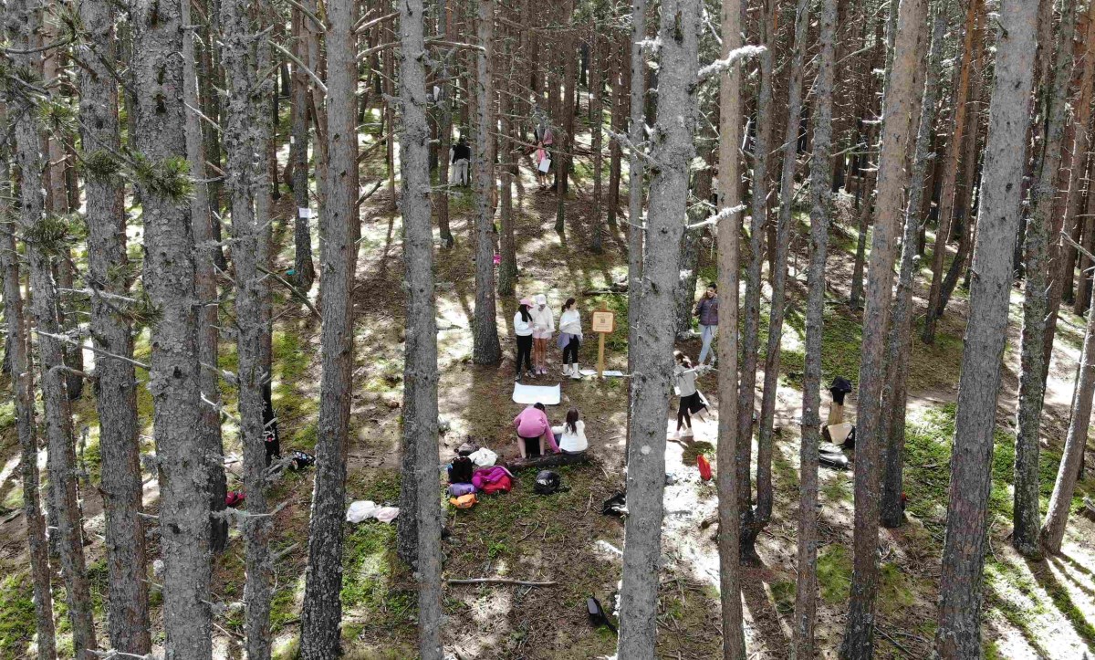 AR+I inicia una prova pilot per dur l’alumnat del país al laboratori forestal a cel obert