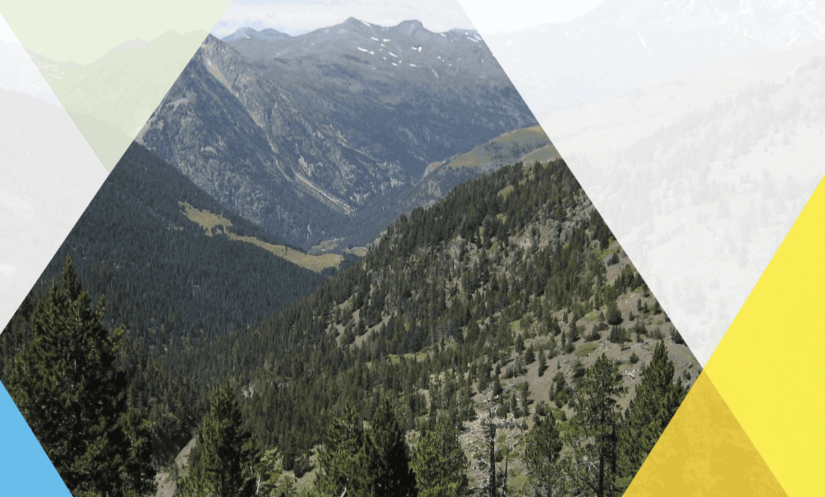 AR+I participa en un projecte europeu de 20ME de pressupost per aconseguir l’adaptació dels Pirineus al canvi climàtic