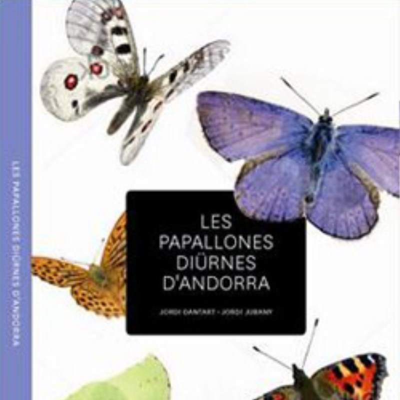 Les papallones diürnes d'Andorra
