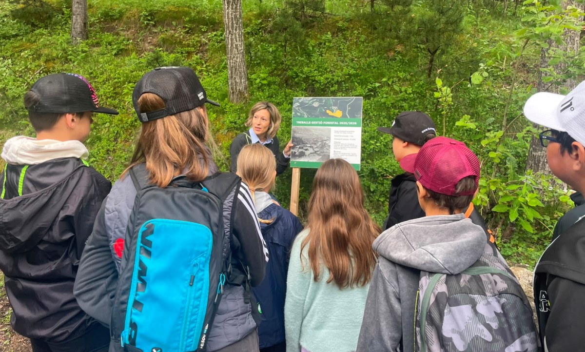 Més d’un centenar d’alumnes visiten el laboratori forestal (Marteloscopi) de Beixalís