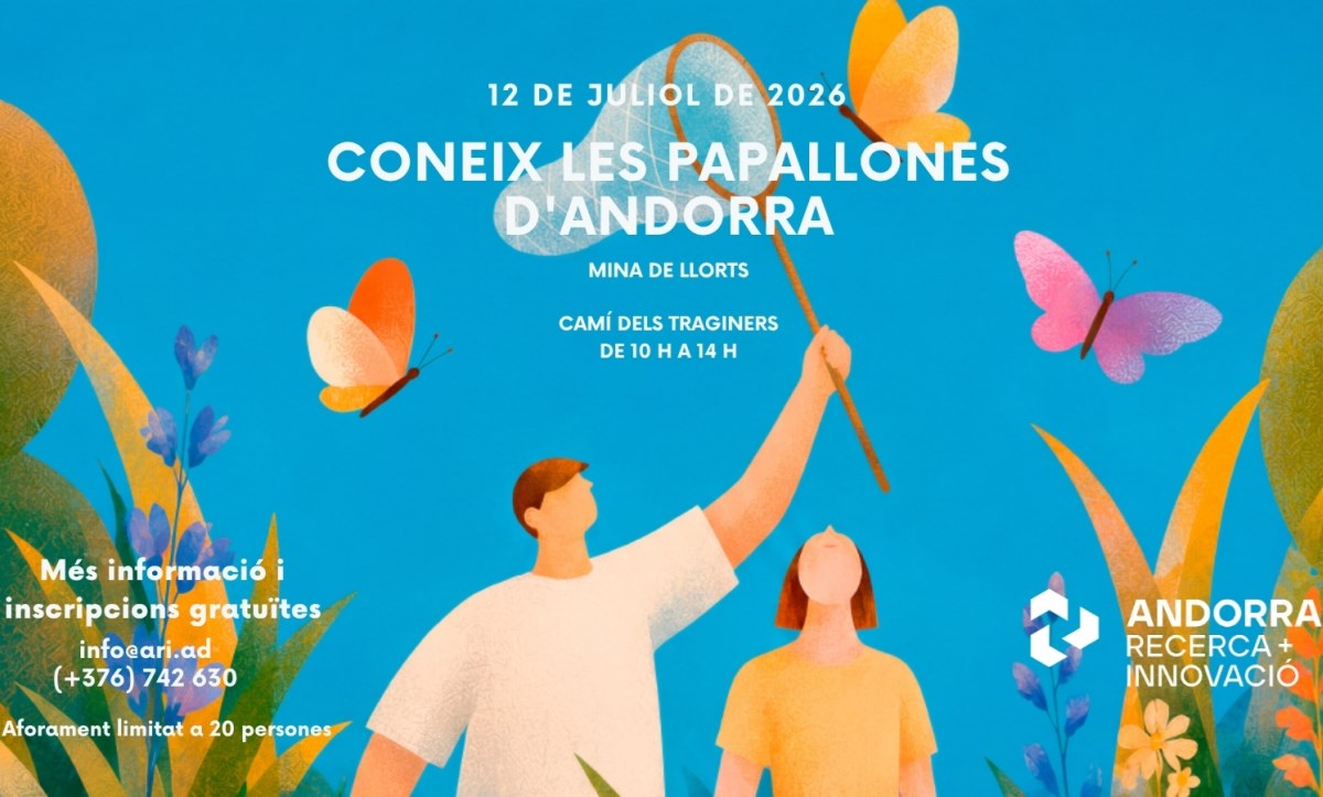 Sortida per conèixer les papallones diürnes d'Andorra