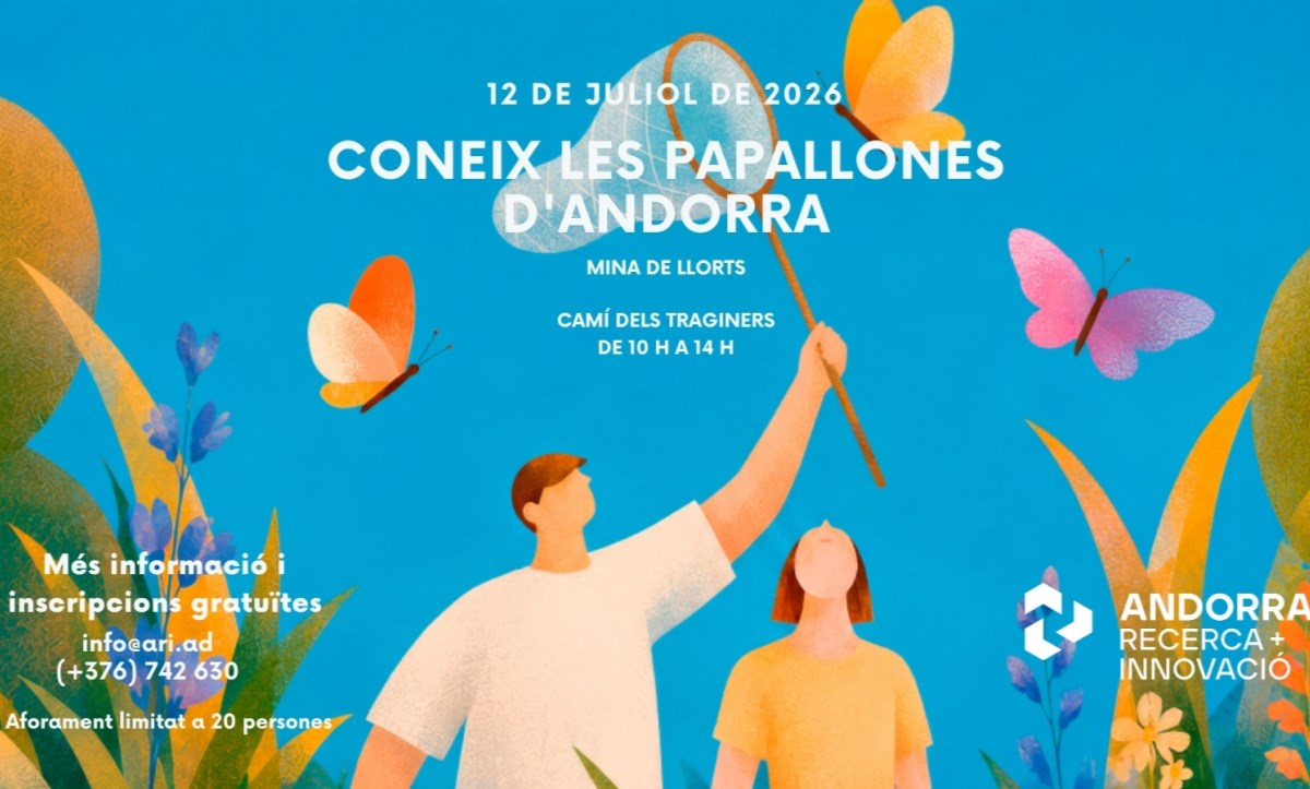 Sortida per conèixer les papallones diürnes d’Andorra