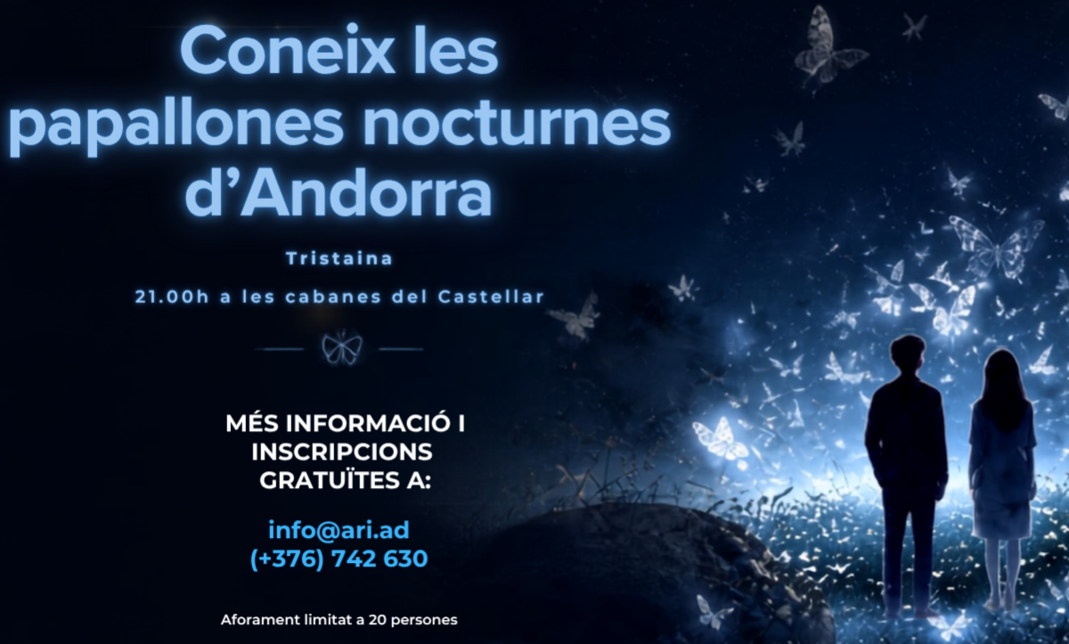 Sortida per conèixer les papallones nocturnes d'Andorra