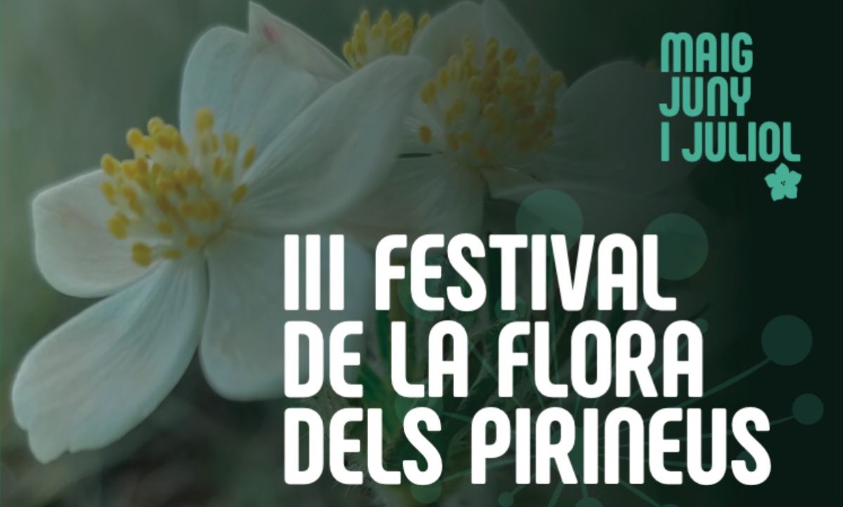 Torna el Festi’Flora, el festival de la flora de l’est dels Pirineus, amb 15 activitats