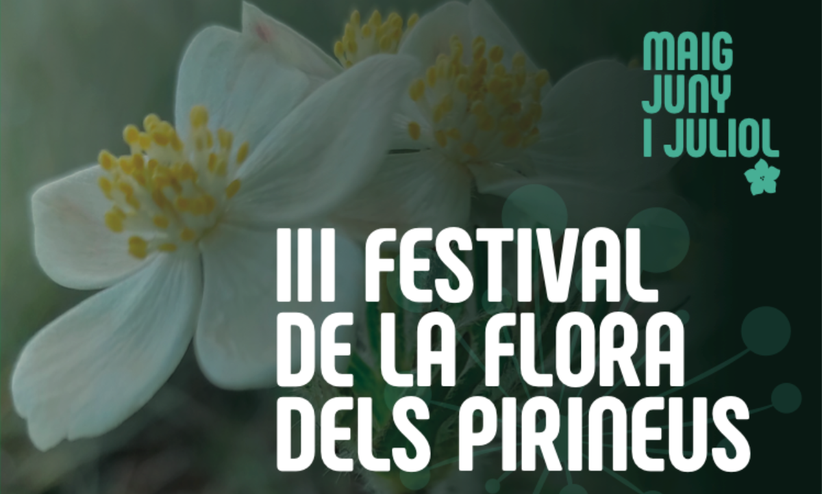 Torna el Festi’Flora, el festival de la flora de l’est dels Pirineus, amb 15 activitats
