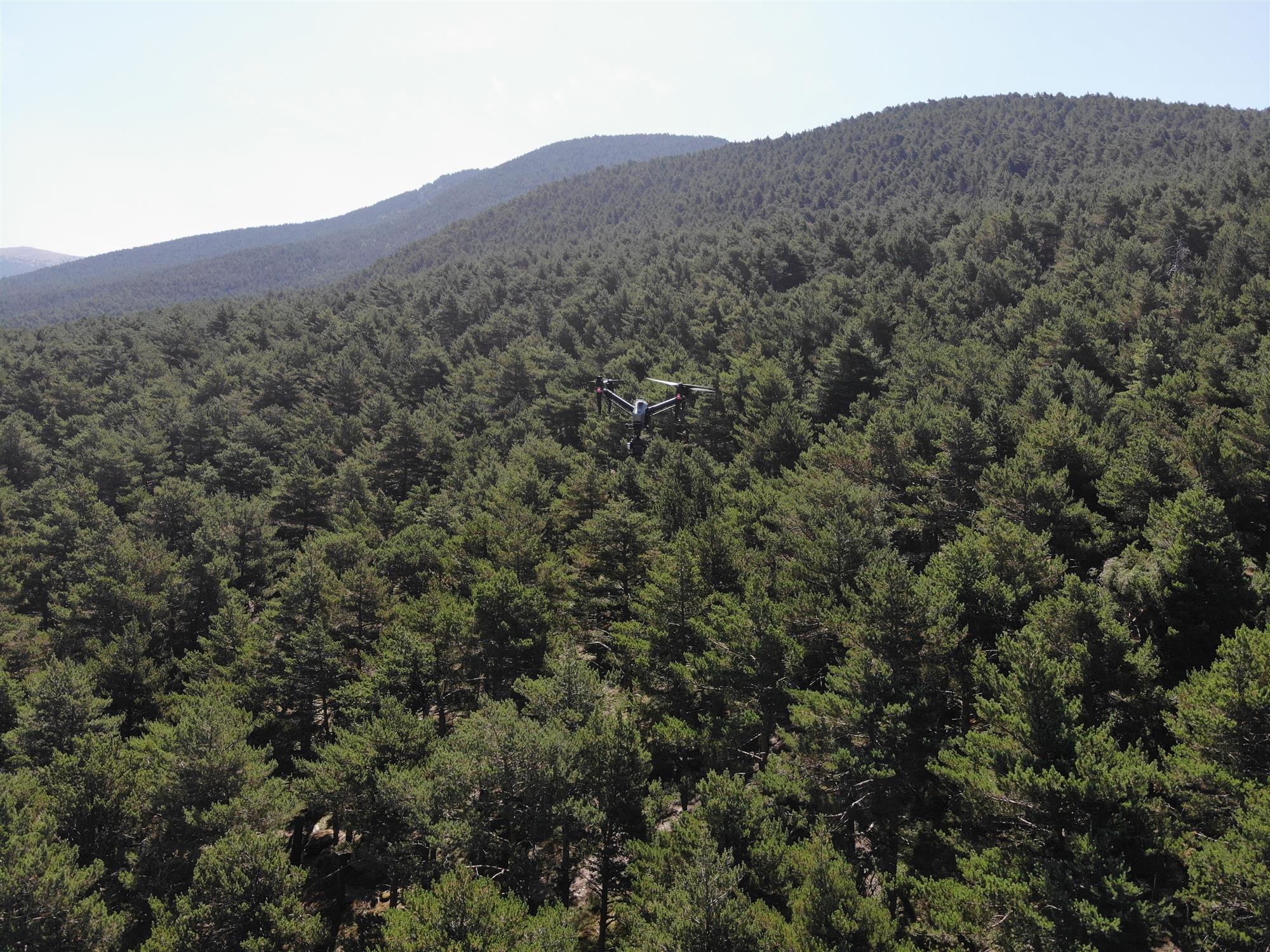 El vol de dron en territori andorrà